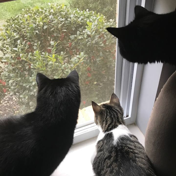 D18fe225 fced 4342 9223 e58fccdf116d