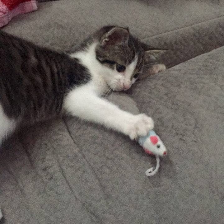 D190e647 e57b 4389 a7bc 05d860e48662