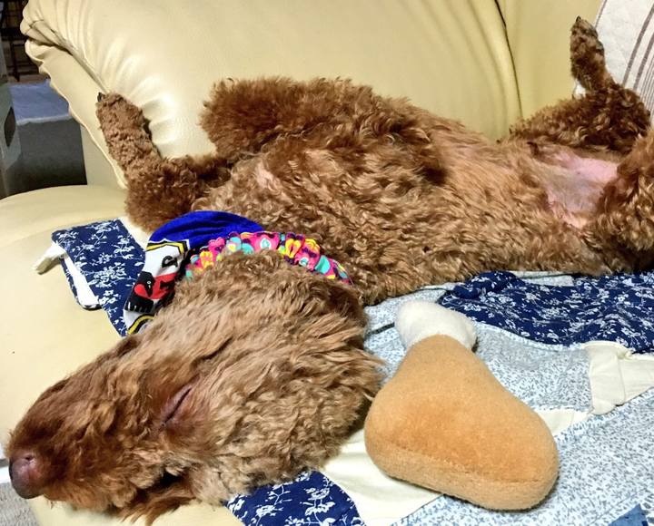 D19128ba 3ab5 405d 825e 679f3164b433