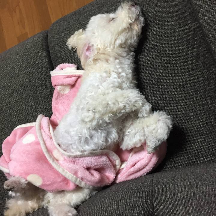 D1918bfd c9b1 491c bd88 7db562786a14