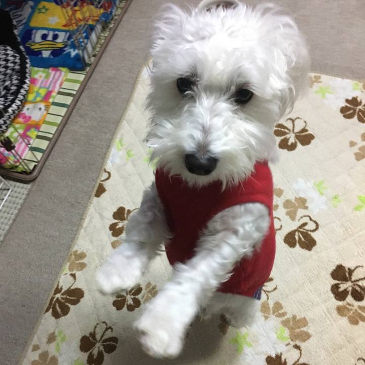 D1935710 dba4 4460 9f1a fd695a15c0bb