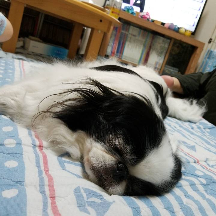 D1936a8f 1a46 4cc1 bd1c b2213186547b