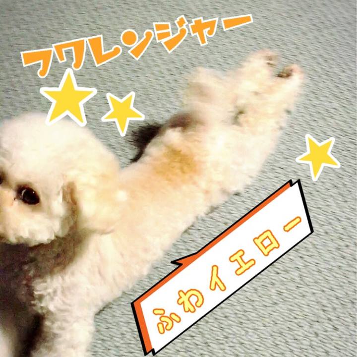 D193da60 7e2f 4158 8e7f dd52f0b864c5