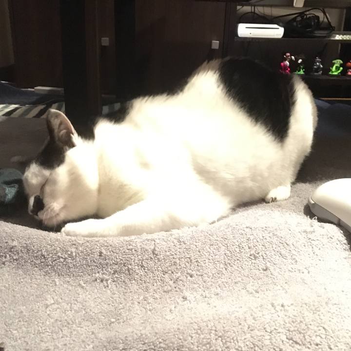 D193e18a c9b6 40c7 a357 ee0732713ee5