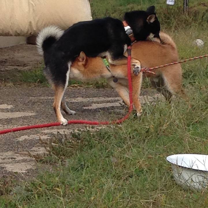 D193e9d4 a4c7 426e 8784 9cc46cc05d2c