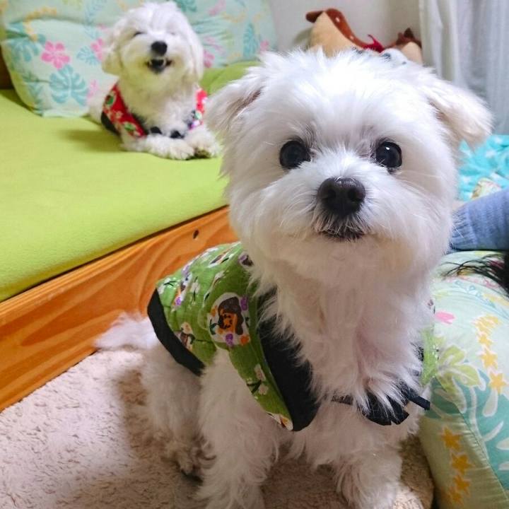 D193ece2 ff4f 474f a4eb a854208b2b90