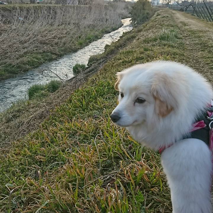 D1940c2e ad8a 4db4 b47c 7ebfe6a72ae5