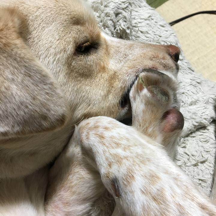 D194aec6 92f8 4df9 8d93 85db00be2abf