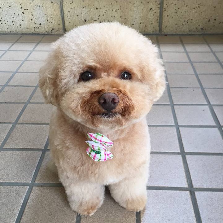 D194eec1 66bd 447f b080 6989aff92c46