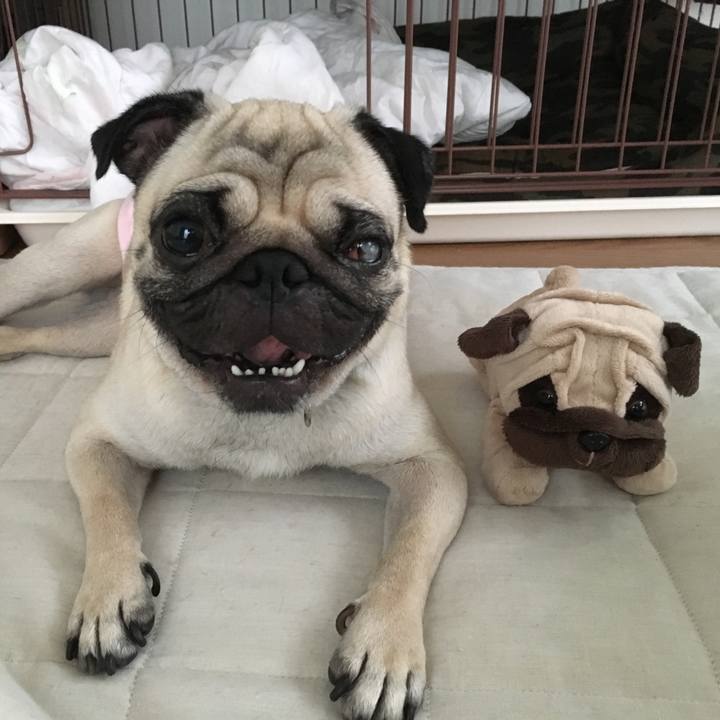 D1954820 0e85 467b 9978 1451130884b9