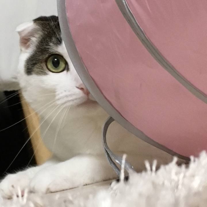 D195b0ae 3471 4873 a73e d0a2f19f62c6