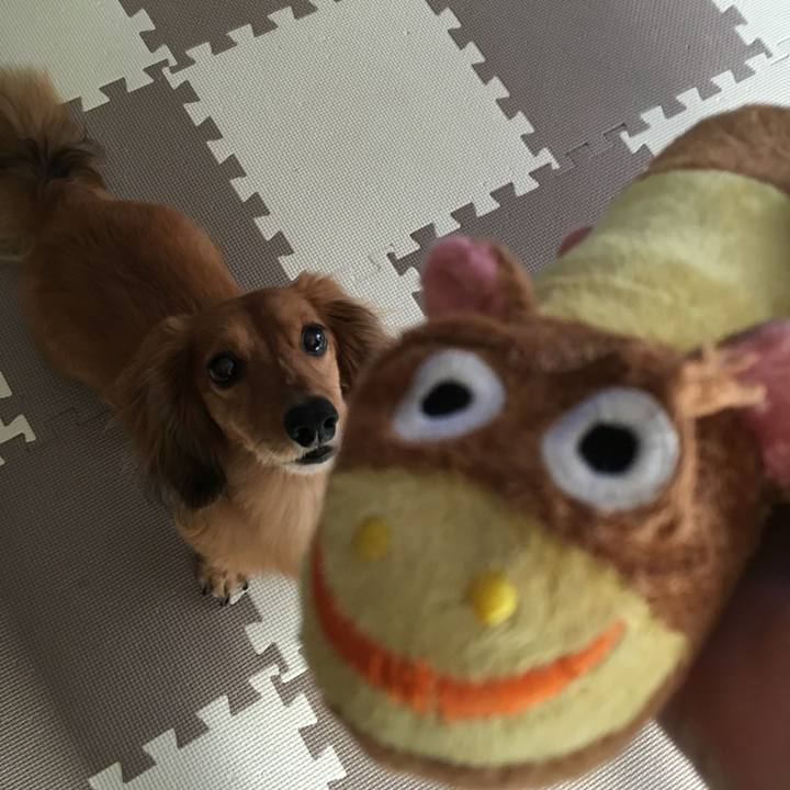 D19791bb adf2 42f4 b578 8c1393692ad7