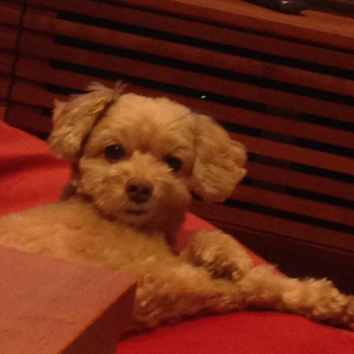 D197d39f 91d4 4e48 909c fb9cbf6f9482