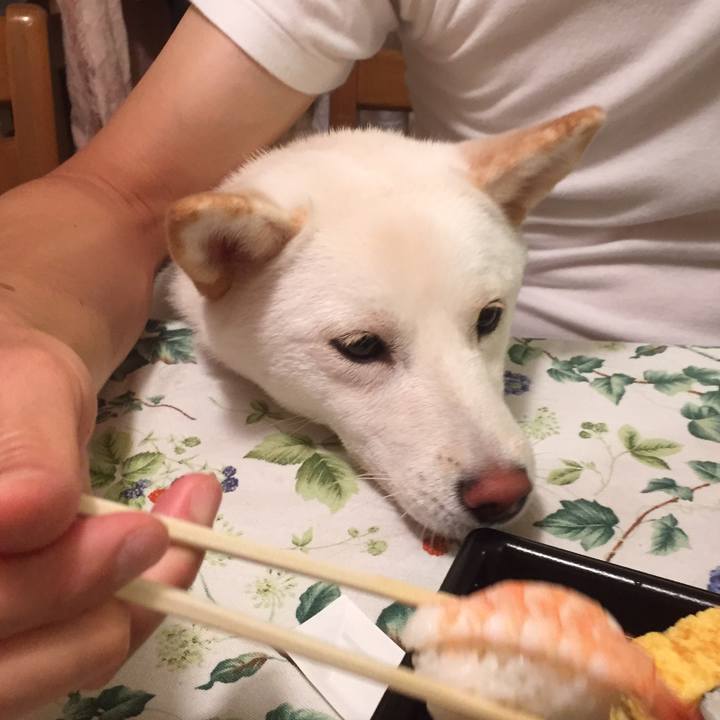 D1981574 056d 410a 8248 a9f20f588387