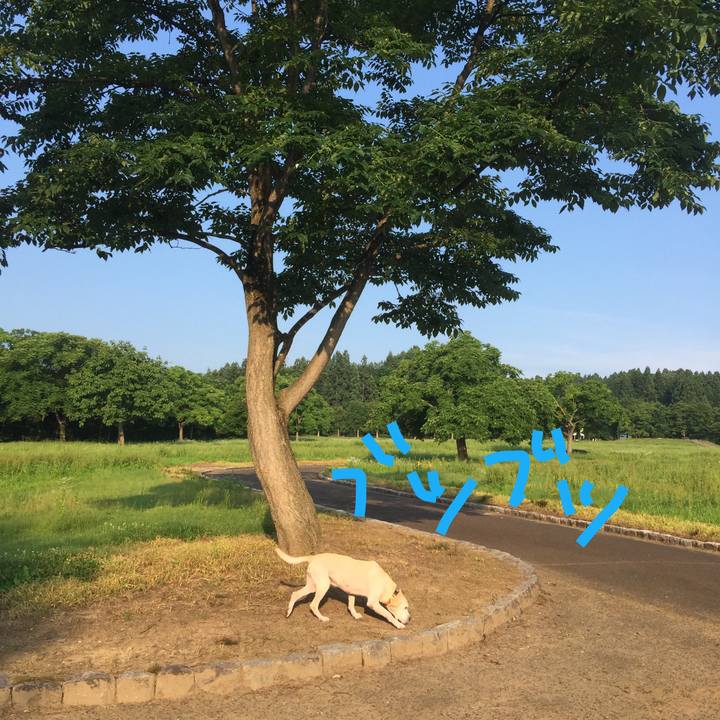 D19948f1 3ad2 4c9b a981 4c533f85588d