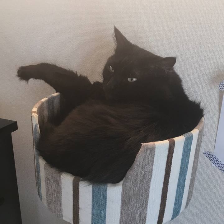 D199c880 f744 44f7 b291 a7c1c1ae1299