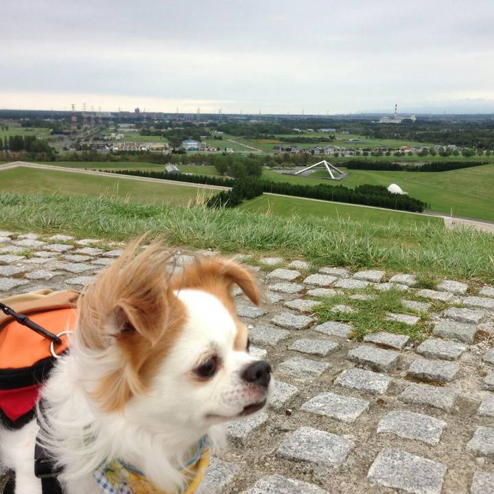 D19b2ef8 8410 4dcf be28 f06fa9b19cd8