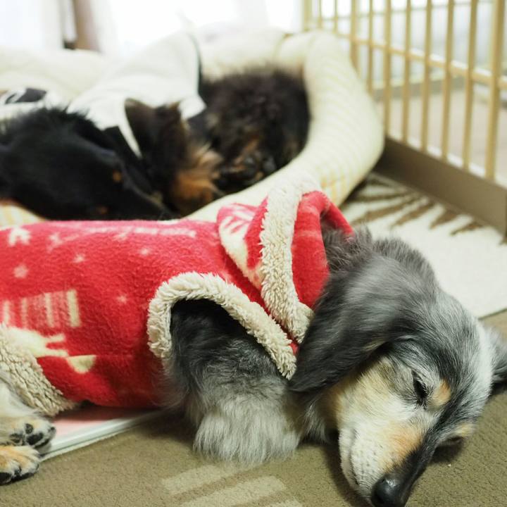 D19b56dd 7eb2 4f87 9989 f6bea17d0352