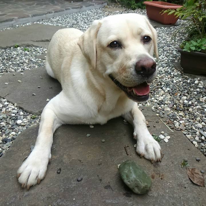 D19b6f02 9efd 4b64 a922 fd1e66ff0fe6