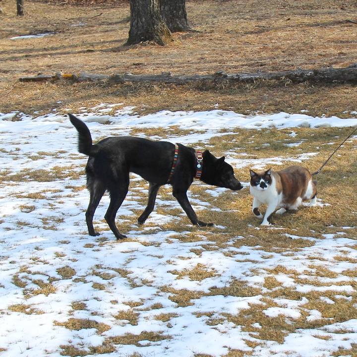 D19bd5e8 241c 43f5 9846 651617fbe237