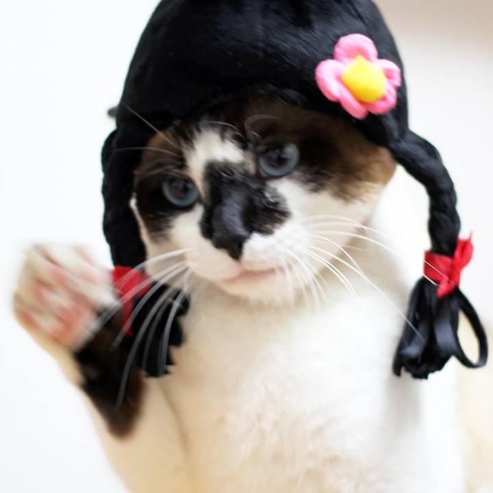 D19bd86c 6a49 470c 88ec f3695363523d