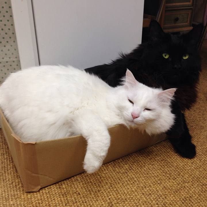 D19be7a9 cd93 4087 9b42 bab8e8aaf788