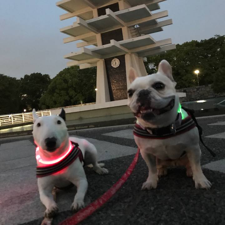 D19cc83d 2431 4ec1 88b2 0a8902f475f0