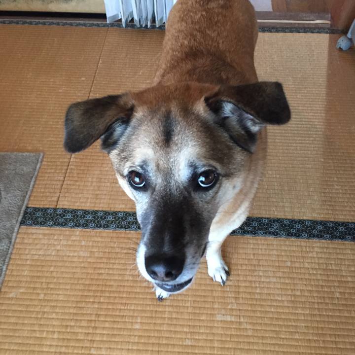 D19dbc46 1782 4dc5 b741 451a54cdfefb