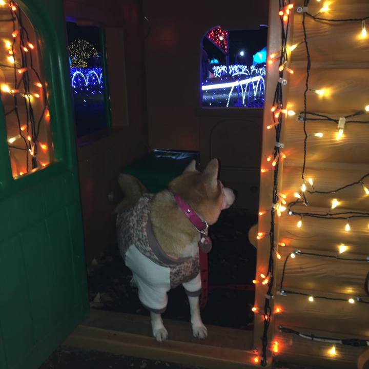 D19dbf35 7b9a 4e33 8726 a7cc0f72af86