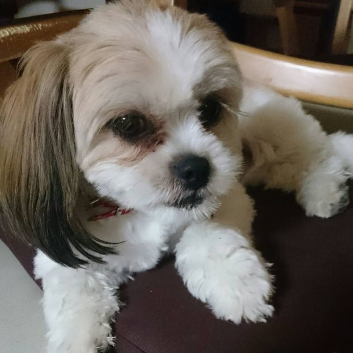 D19e7a35 17e3 4c5c bbea 81cdccd7f85e