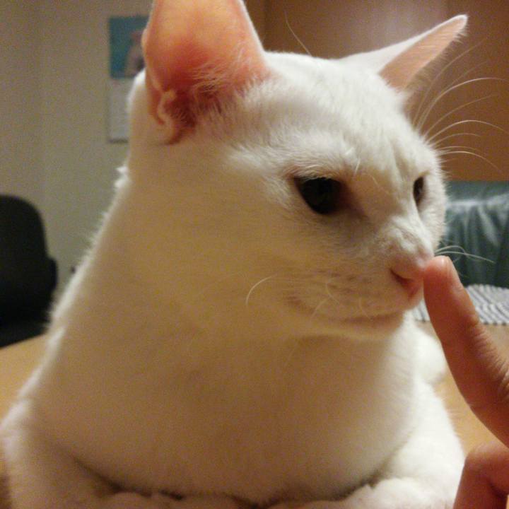 D19f6860 c77a 48c0 ae16 78e5b93c8fe3