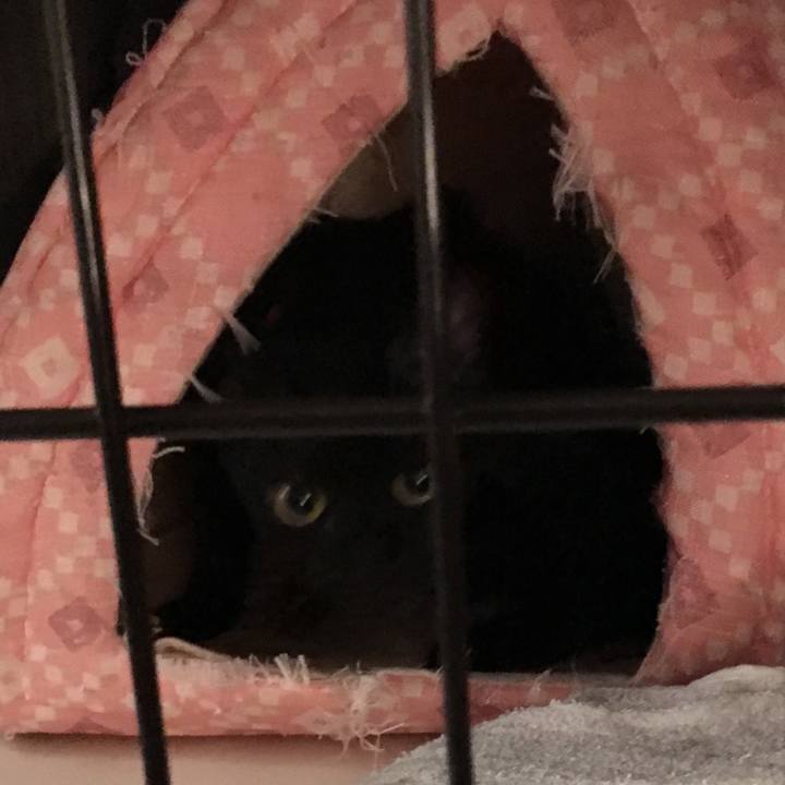 D19fbb7d 7ee1 4f3e bd72 92e8269e36c0