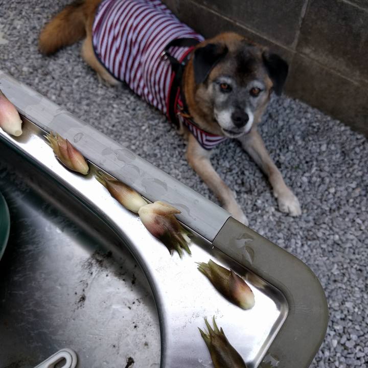 D1a14cde 5dd1 493b ae25 32ed09f51843