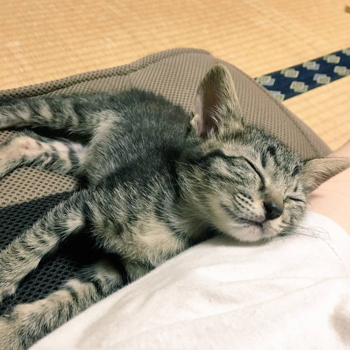 D1a17479 e15d 48a9 81fa 76042a11ff49