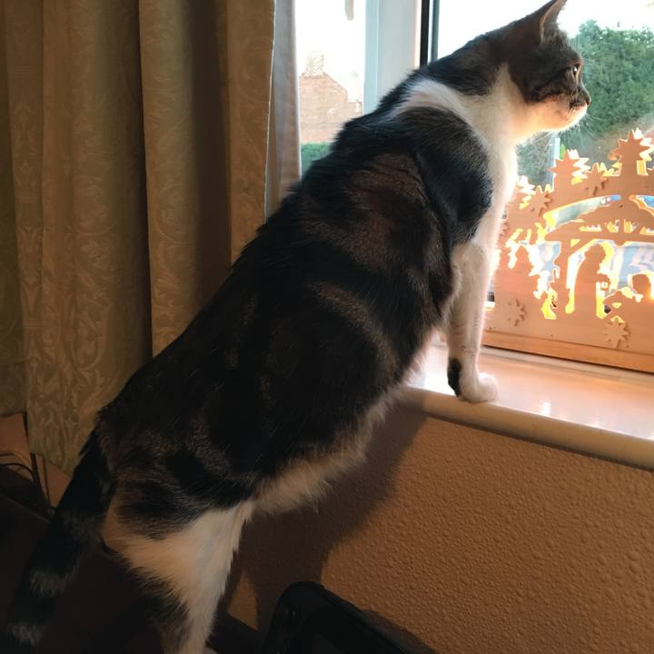 D1a1920d 0cb4 4ecd a93b b174f89ffe17