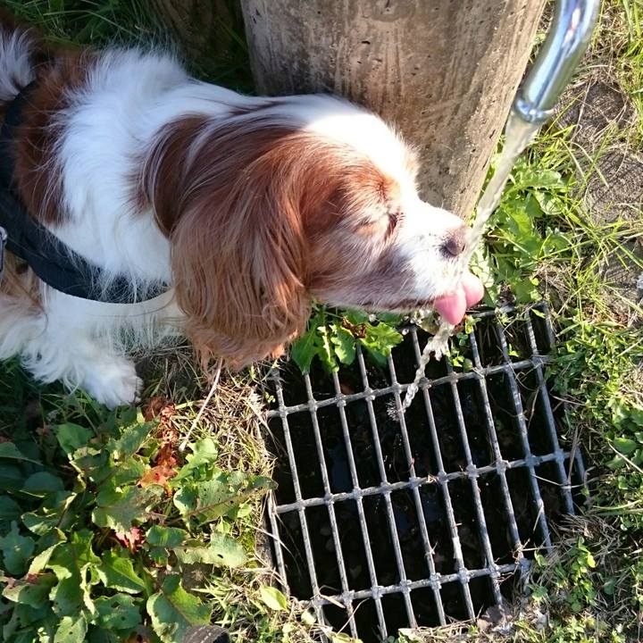 D1a1b749 8116 42be 8a94 caf4a8387fa6