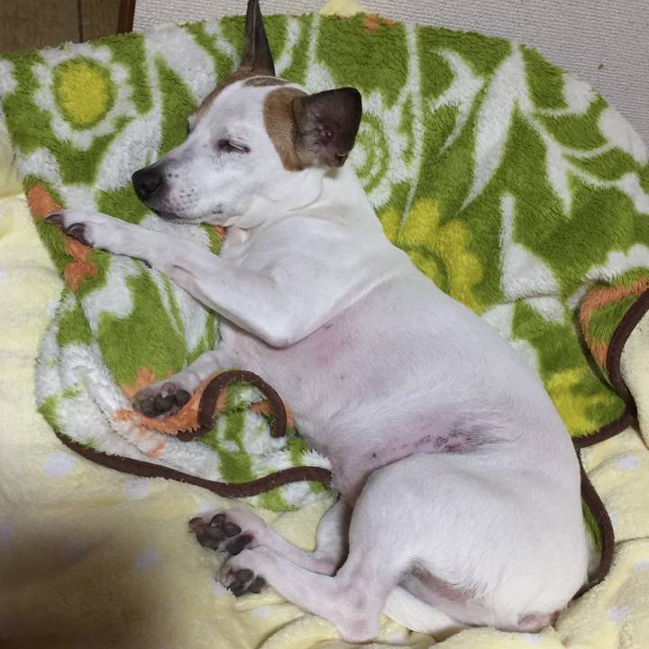 D1a1cfa8 5cda 445d b9eb 645964a4b01e