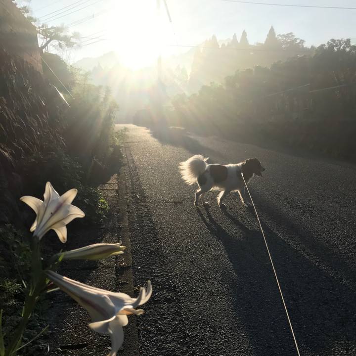 D1a1e963 3692 4c61 ba1c d81bcf949b6f