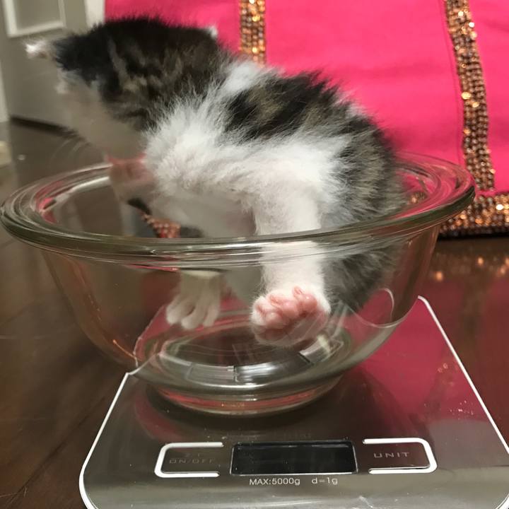 D1a1f1dc f8bd 40e1 897f 54a476f79d48