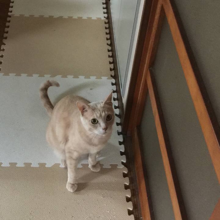 D1a3e498 1959 4eb3 8e2b 2b787c8fff6a