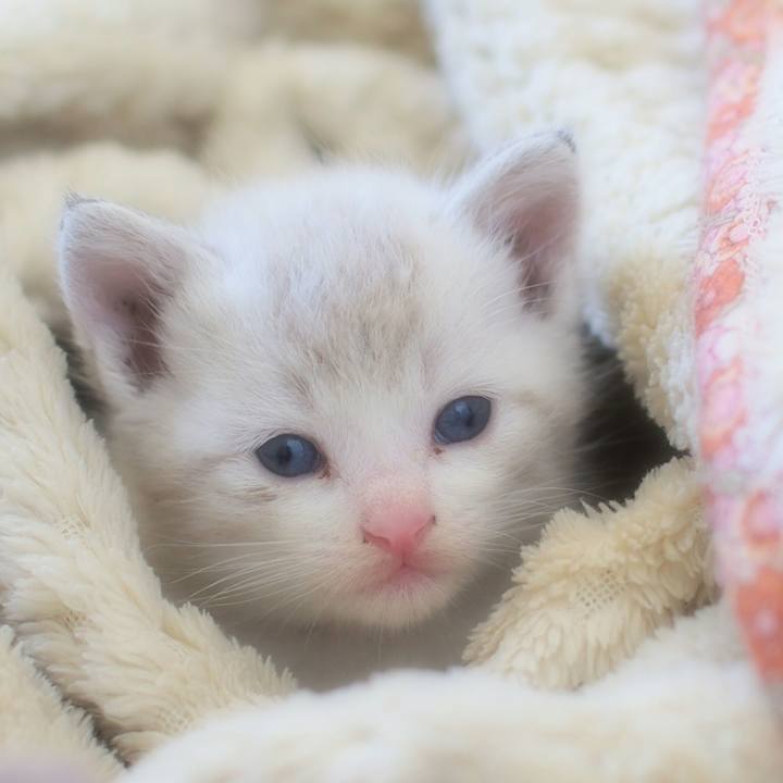 D1a46d13 6ff5 47f3 a726 5dcfff30ece0