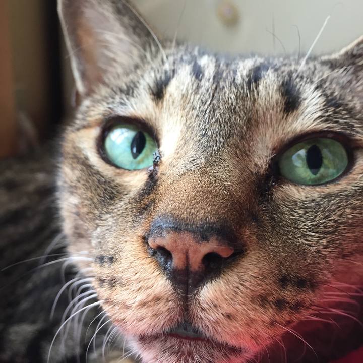 D1a53bfe daf0 48b7 9255 b54e1949fc4e