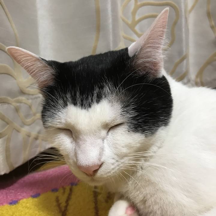 D1a64d32 149b 4756 a994 33643c2e9d20