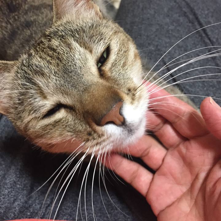 D1a6cc8e ac20 4213 944f 2bc2d768ffd5