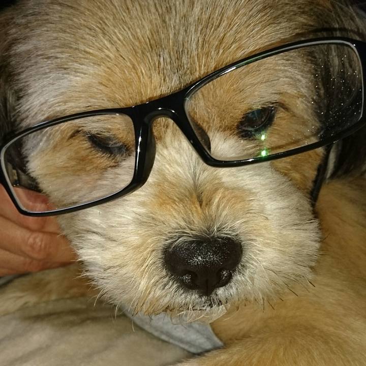 D1a70609 287e 429e 9e13 4a5069144314