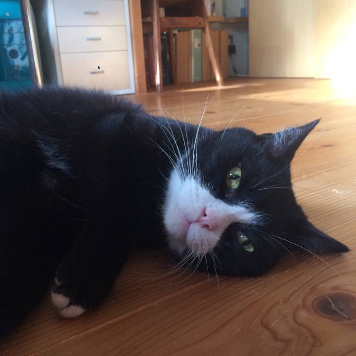 D1a77059 35e9 4ad0 9e84 3bbfec9d31d5