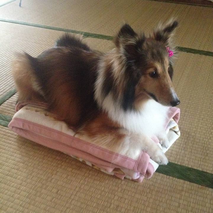 D1a79dd3 a943 40e2 861e 4431016dd5ee