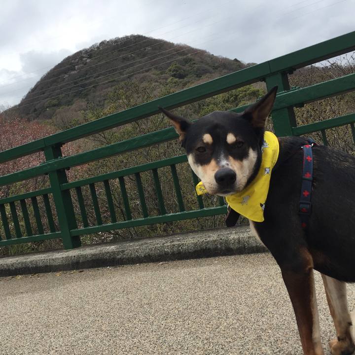 D1a7f3cc 891d 4891 a361 963d443e2c8c