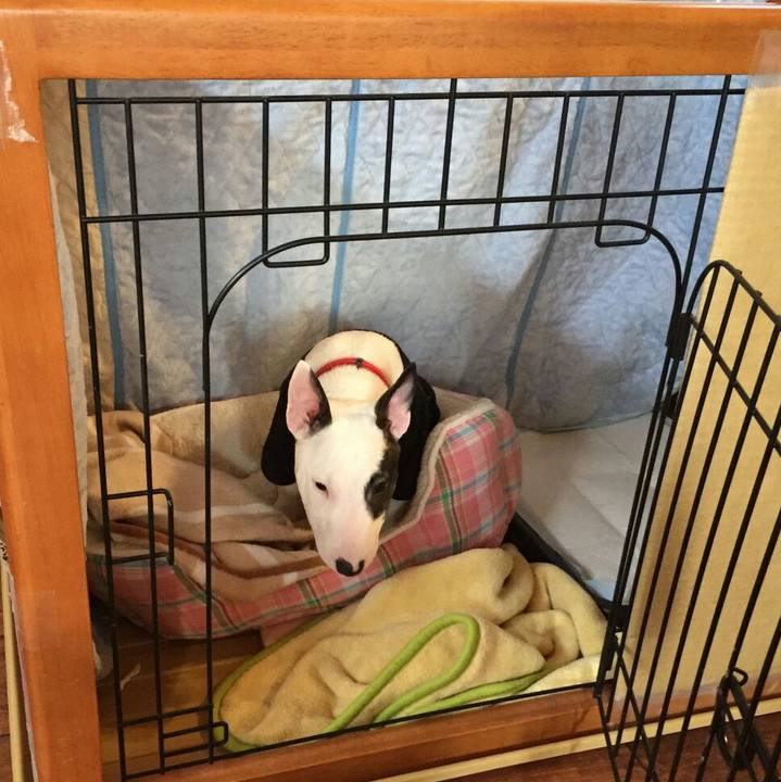 D1a82098 7094 4d12 b033 29658dadaece