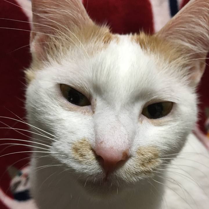 D1a8257f 98ce 42ba b647 036e4212f951